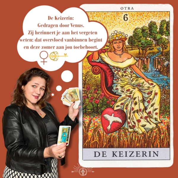 Tarot Master - Afbeelding 3
